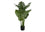 PLANTE ARTIFICIELLE - 45"H / MONSTERA INTERIEUR POT 6"