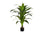 PLANTE ARTIFICIELLE - 47"H / DRAC&Aelig;NA INTERIEUR POT 5"