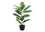 PLANTE ARTIFICIELLE - 27"H / CAOUTCHOUC INTERIEUR POT 5"