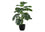 PLANTE ARTIFICIELLE - 24"H / MONSTERA INTERIEUR POT 5"