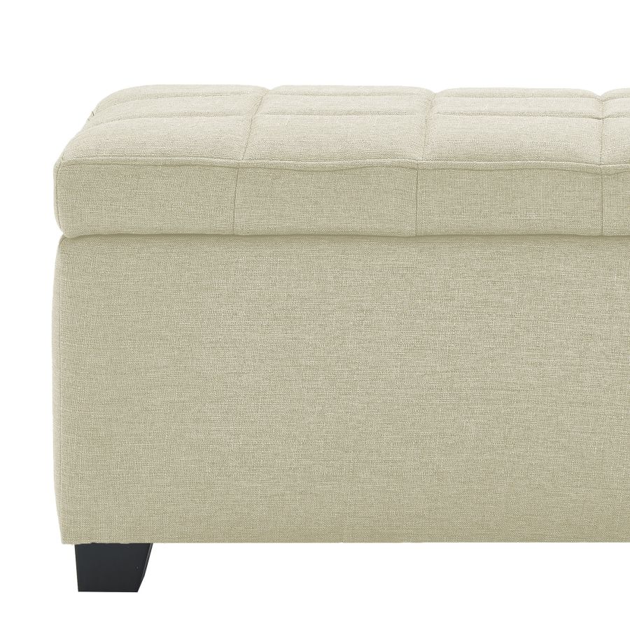 Banc ottoman de rangement rectangulaire Lila en beige ( Meuble Mtl ) 