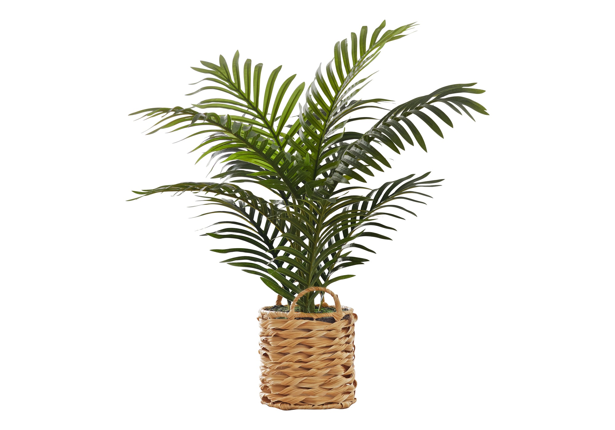 PLANTE ARTIFICIELLE - 24"H/PALMIER INTERIEUR/POT TISSE 8"