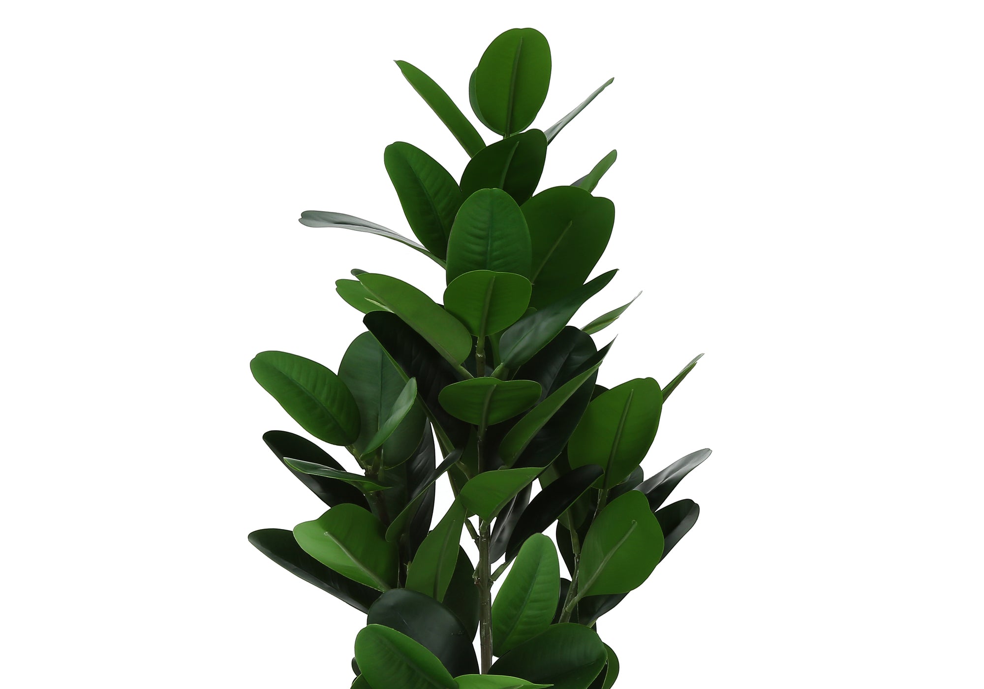 PLANTE ARTIFICIELLE - 28"H / GARCINIA INTERIEUR POT 5"