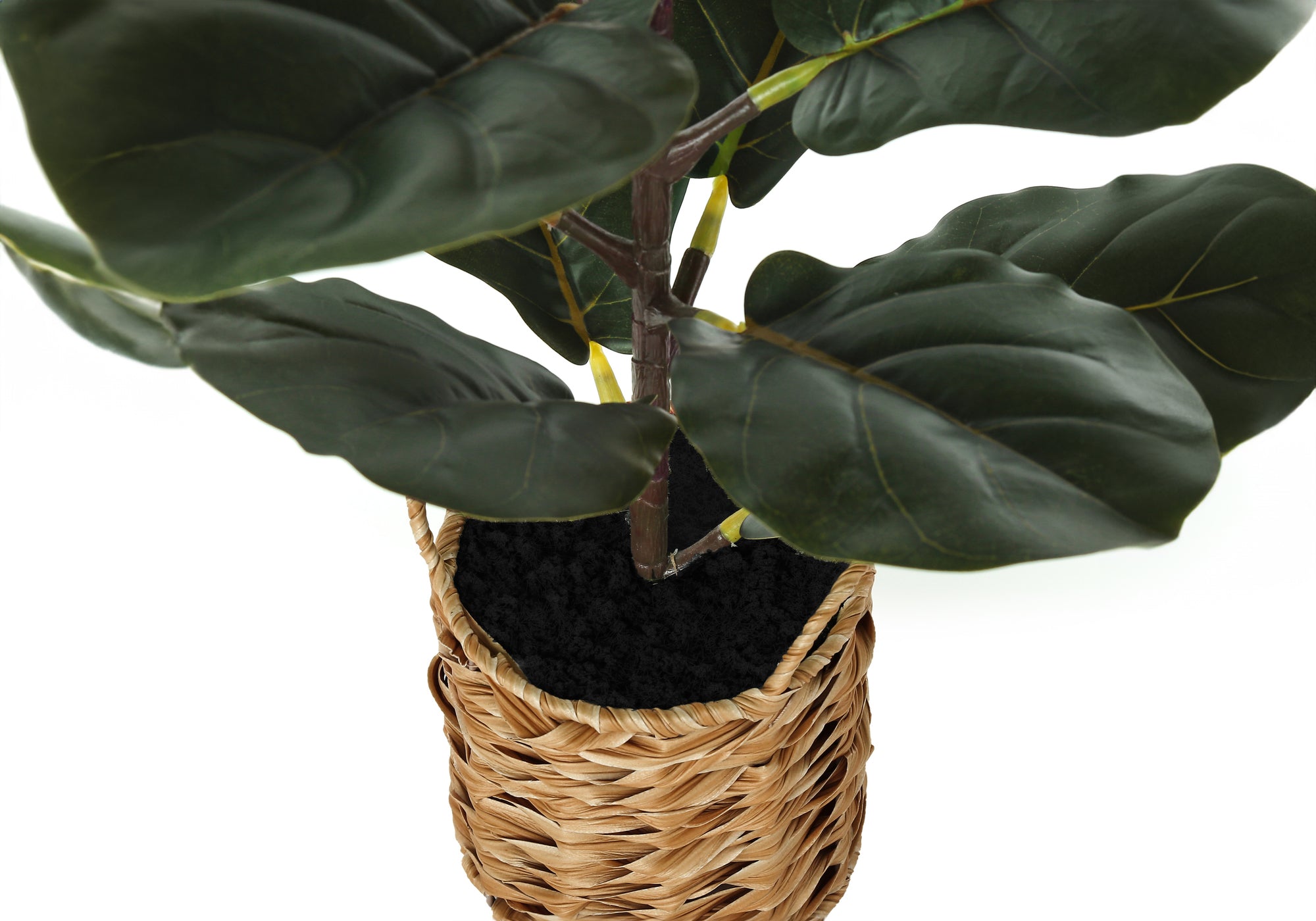 PLANTE ARTIFICIELLE - 28"H/FIGUIER INTERIEUR/POT TISSE 8"