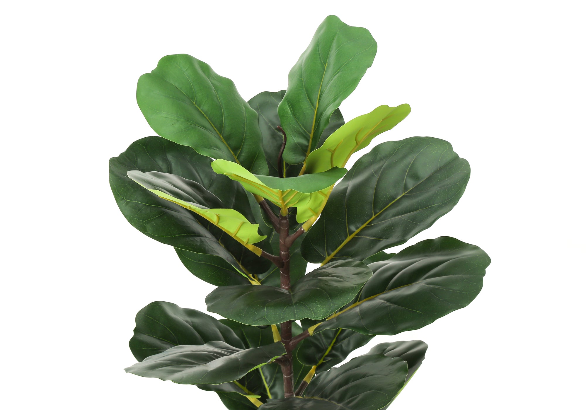 PLANTE ARTIFICIELLE - 28"H/FIGUIER INTERIEUR/POT TISSE 8"