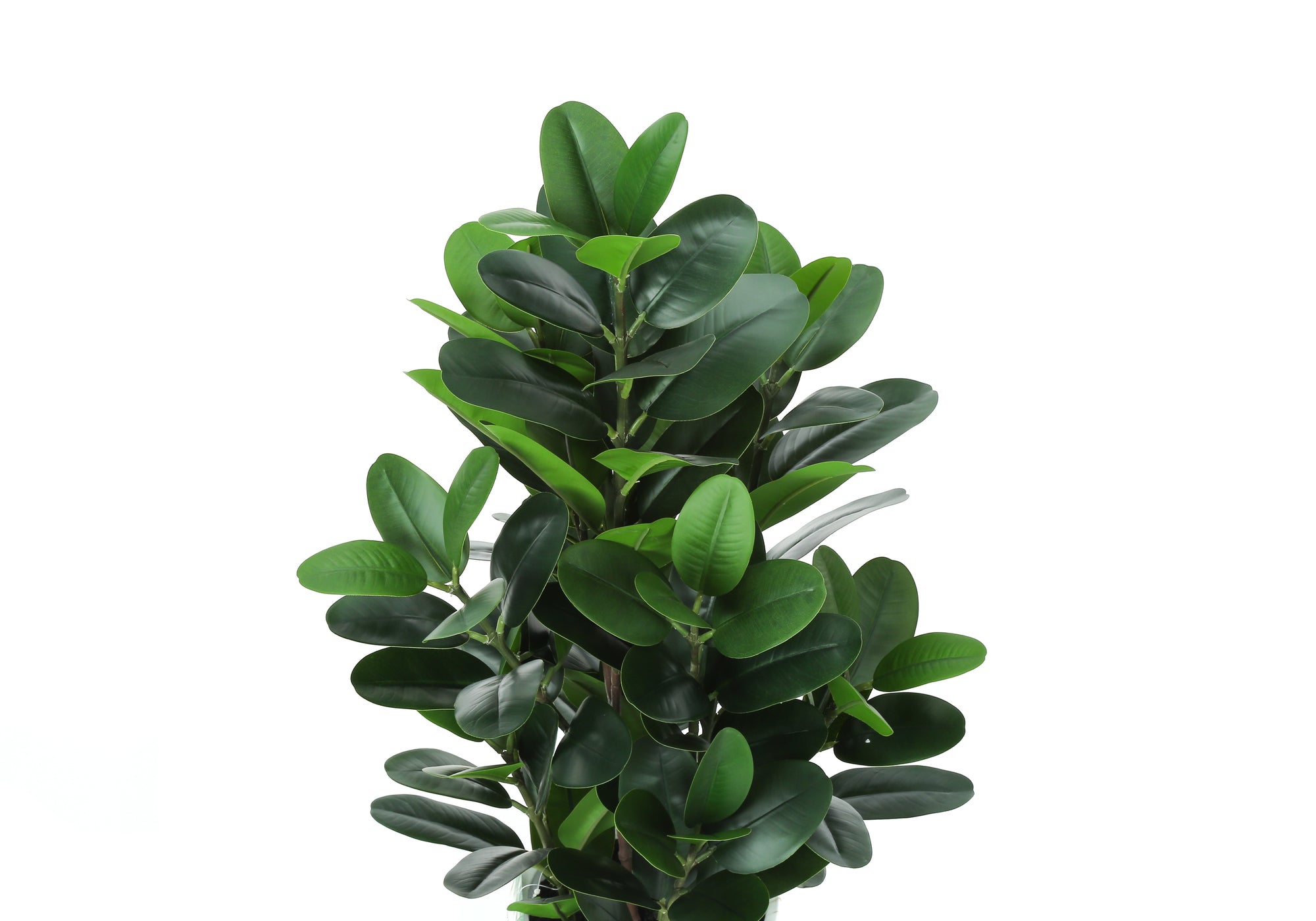 PLANTE ARTIFICIELLE - 31"H / GARCINIA INTERIEUR POT 7"