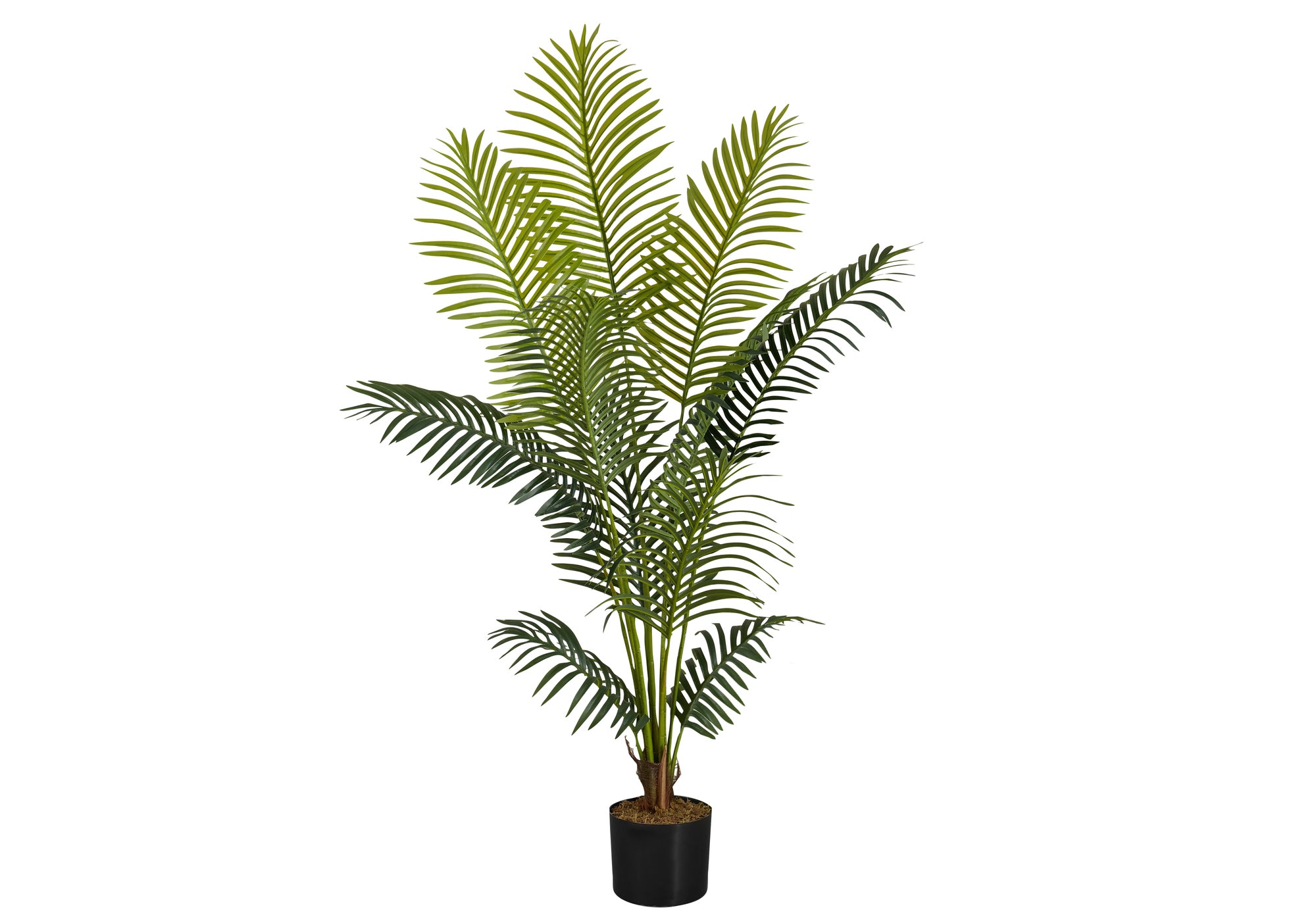 PLANTE ARTIFICIELLE - 57"H / PALMIER INTÉRIEUR POT 5"