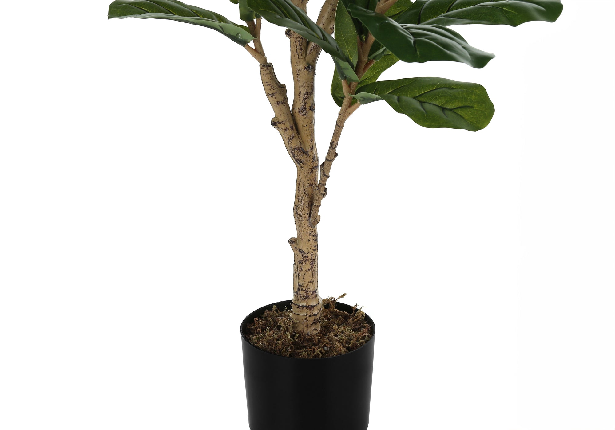 PLANTE ARTIFICIELLE - 47"H / POT INTERIEUR FILODLE 5"