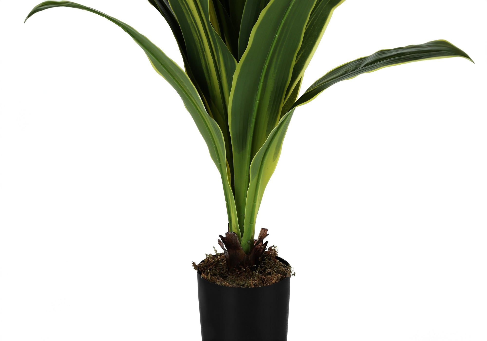 PLANTE ARTIFICIELLE - 47"H / DRAC&Aelig;NA INTERIEUR POT 5"