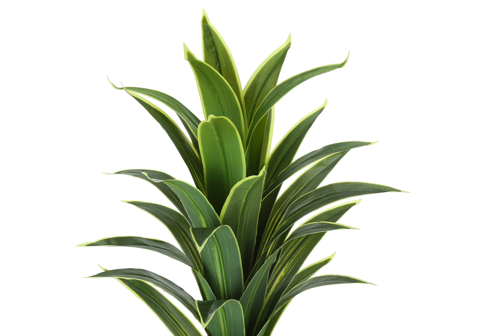 PLANTE ARTIFICIELLE - 47"H / DRAC&Aelig;NA INTERIEUR POT 5"