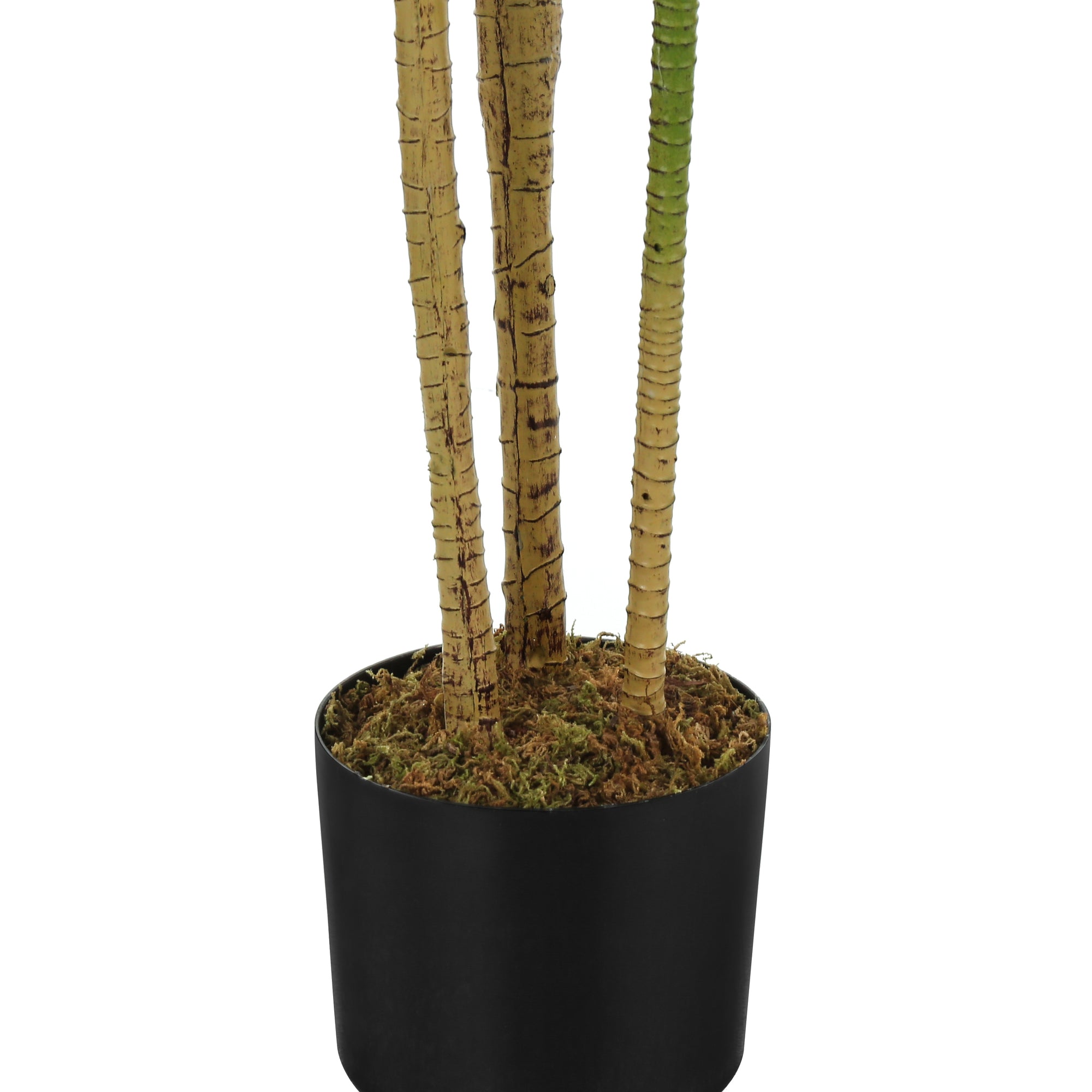 PLANTE ARTIFICIELLE - 51"H / DRAC&Aelig;NA INTERIEUR POT 5"