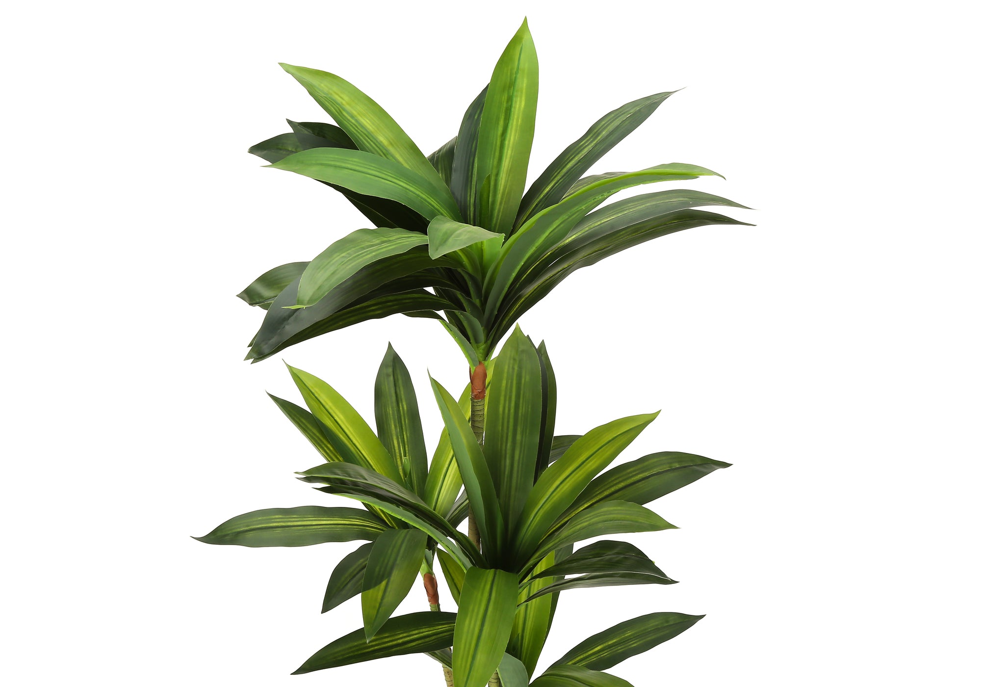 PLANTE ARTIFICIELLE - 51"H / DRAC&Aelig;NA INTERIEUR POT 5"