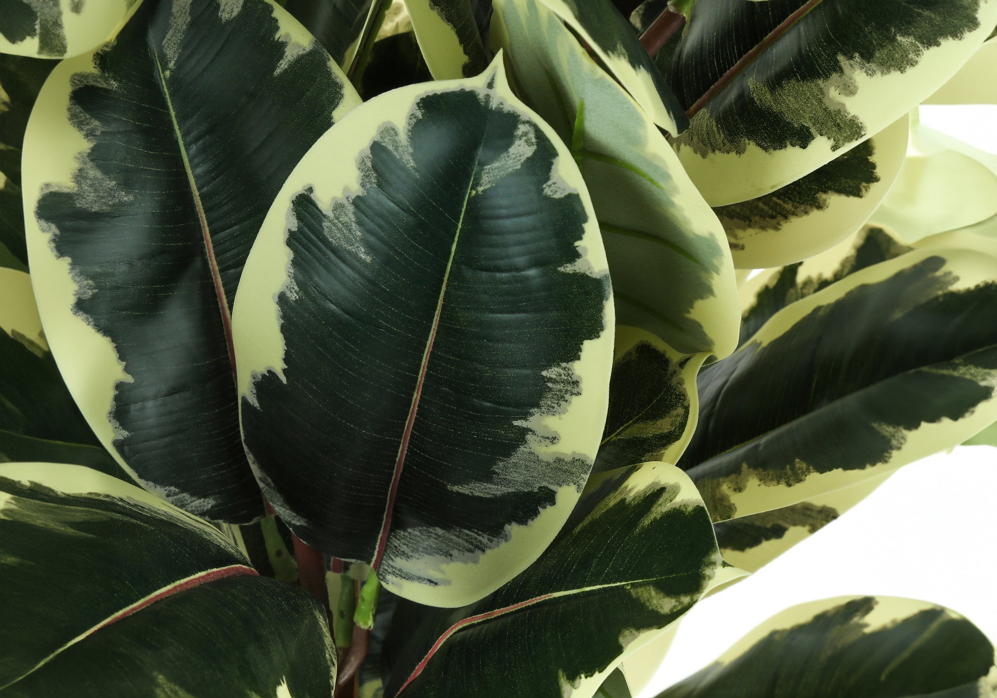 PLANTE ARTIFICIELLE - 47"H / CHENE INTERIEUR POT 5"