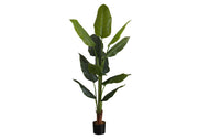PLANTE ARTIFICIELLE - 59"H / POT INTÉRIEUR STRELITZIA 5"