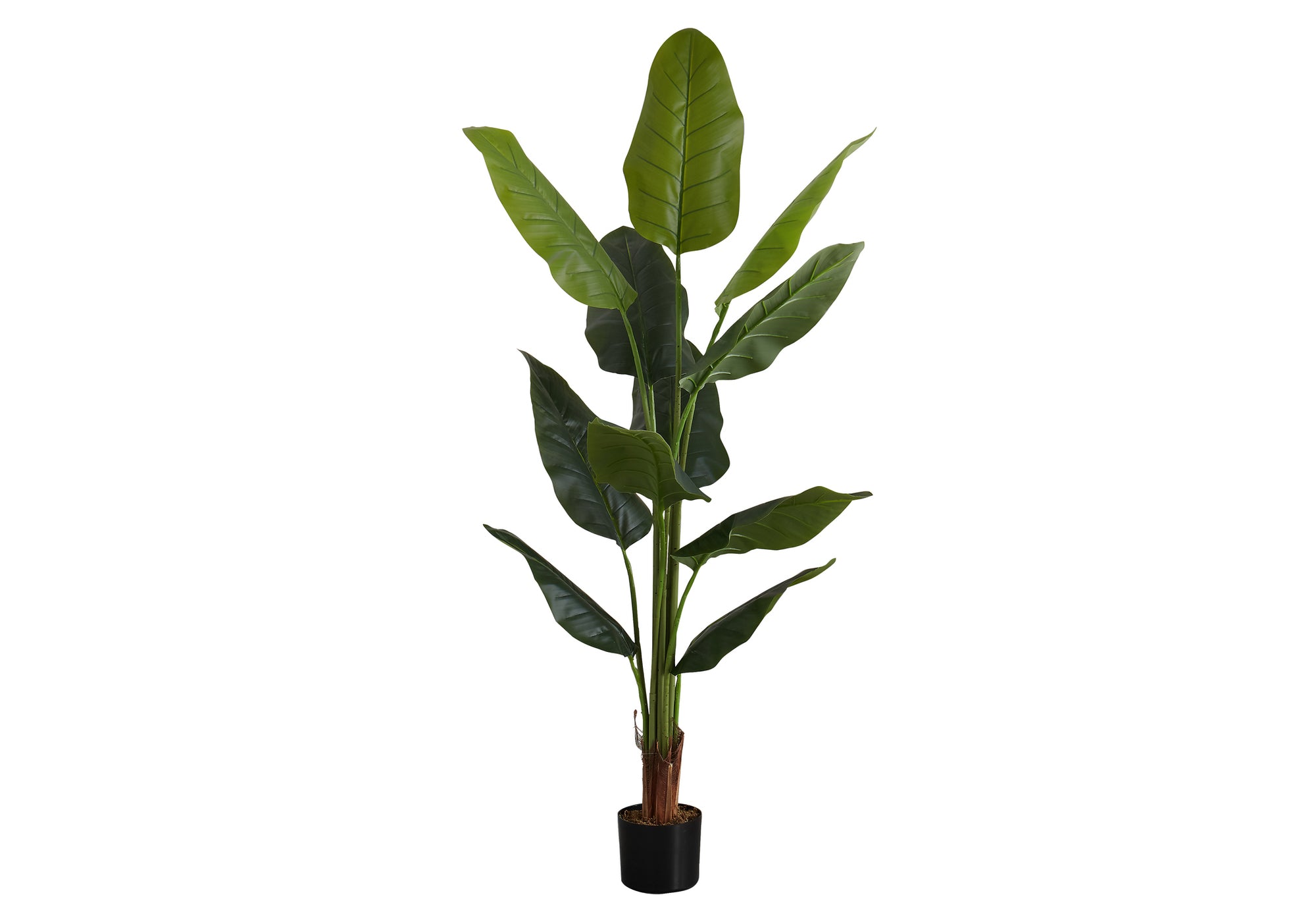 PLANTE ARTIFICIELLE - 59"H / POT INTÉRIEUR STRELITZIA 5"