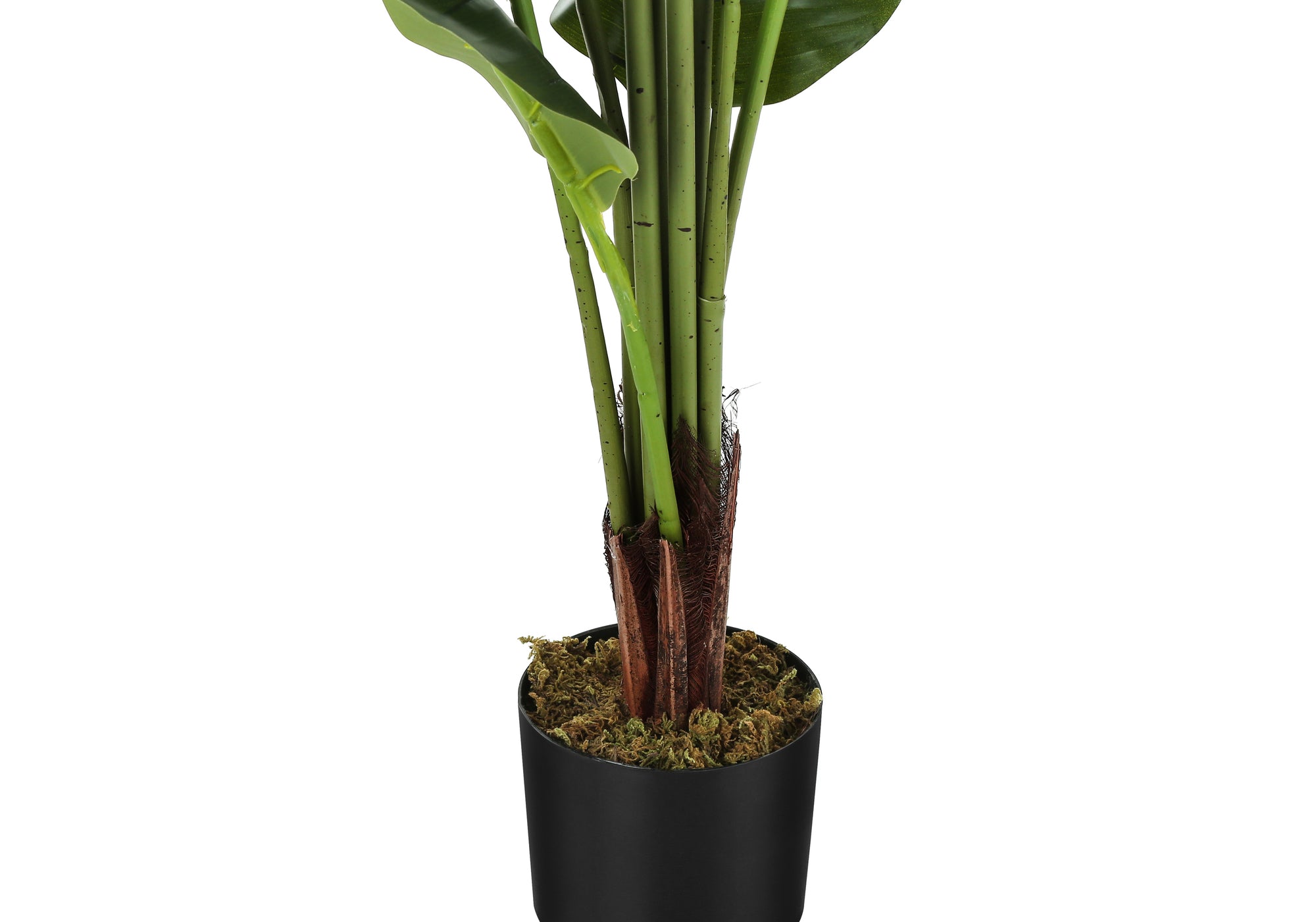 PLANTE ARTIFICIELLE - 59"H / POT INTÉRIEUR STRELITZIA 5"