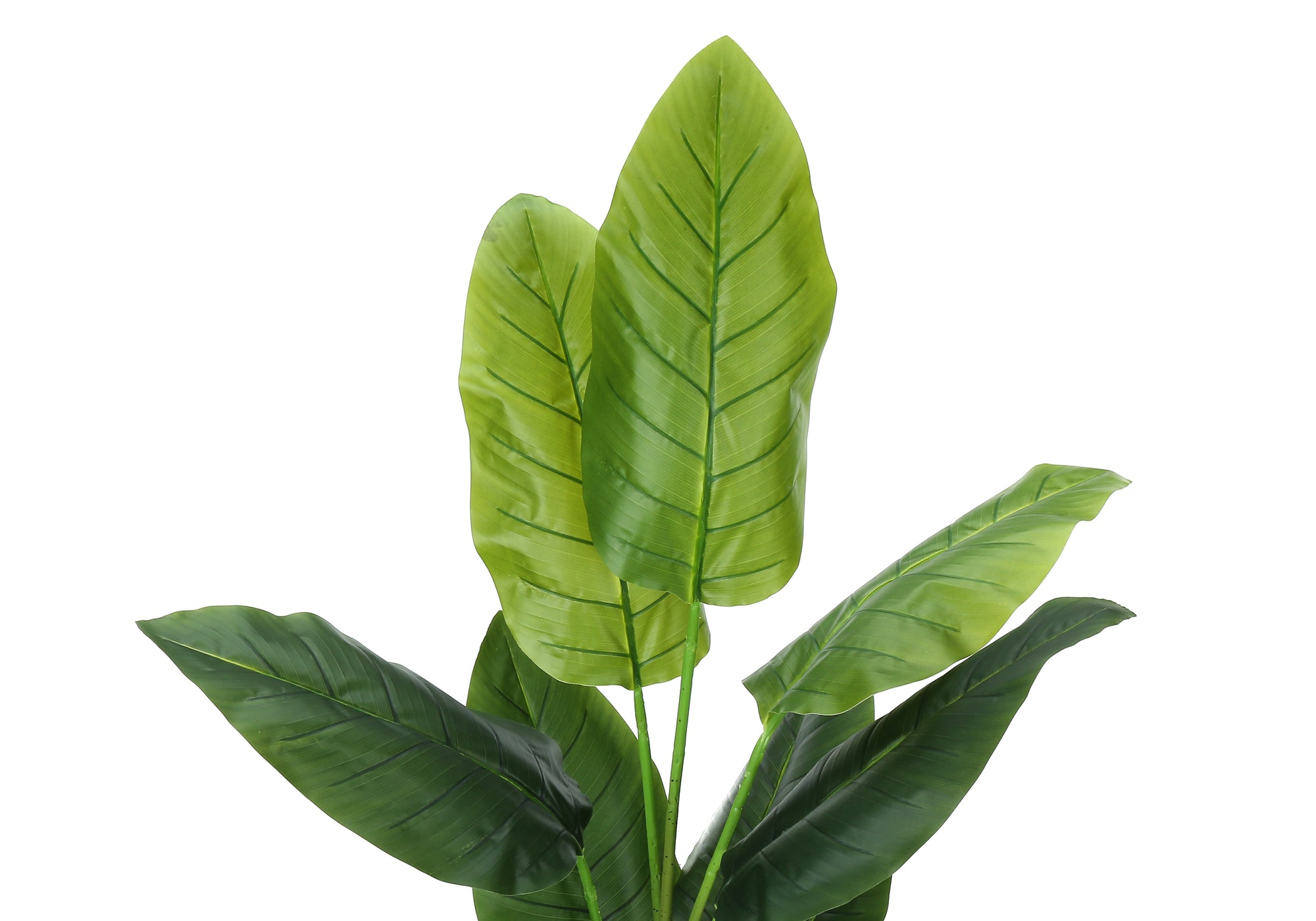 PLANTE ARTIFICIELLE - 59"H / POT INTÉRIEUR STRELITZIA 5"