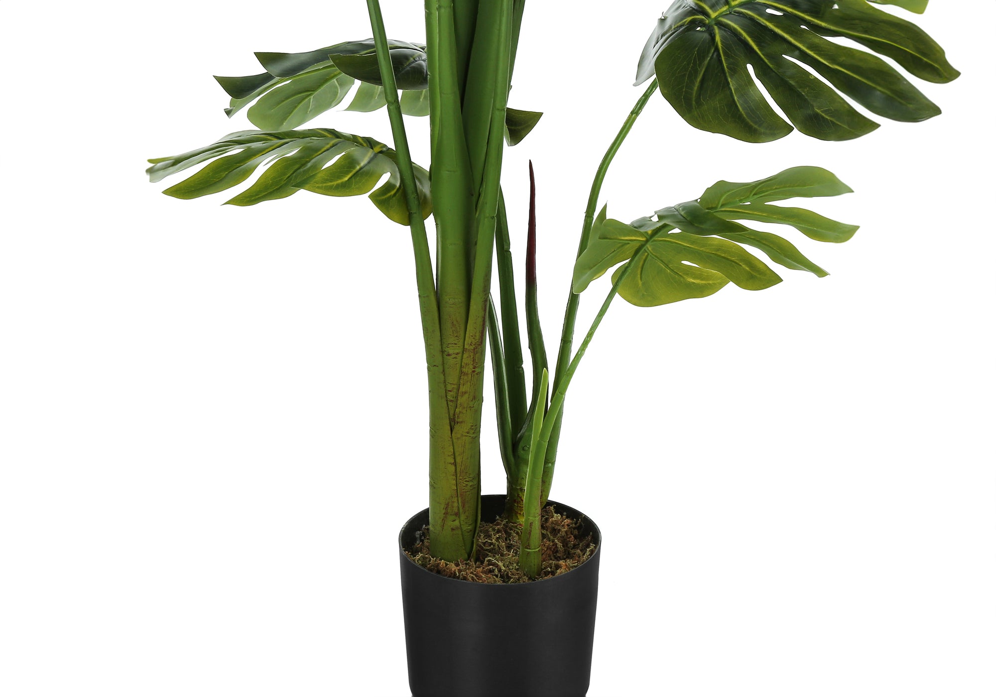 PLANTE ARTIFICIELLE - 55"H / POT INTÉRIEUR MONSTERA 6"