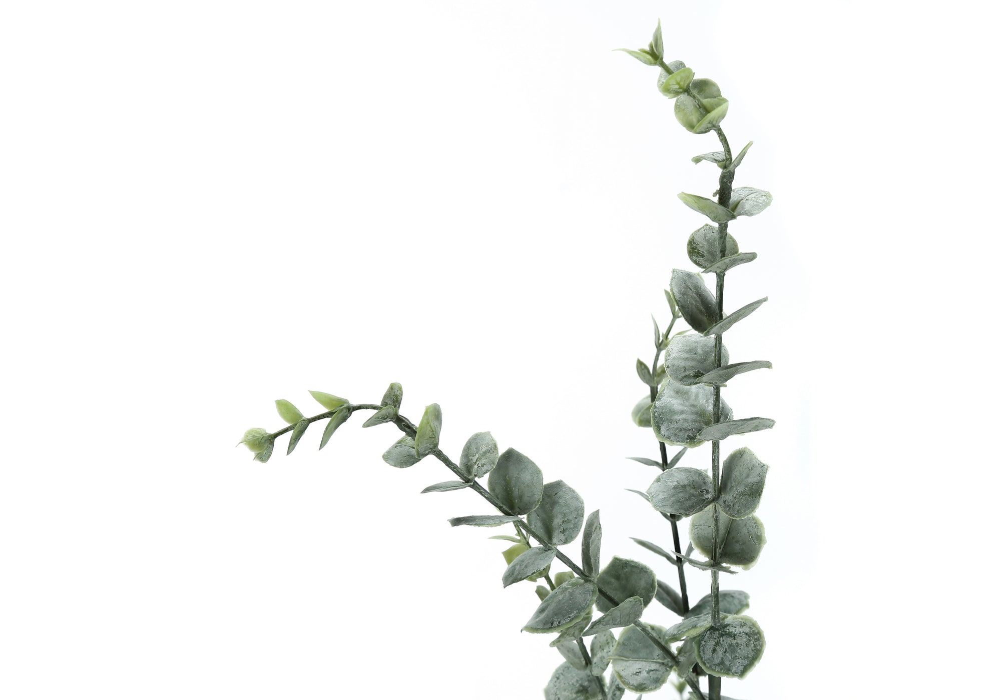 PLANTE ARTIFICIELLE - 44"H / EUCALYPTUS INTERIEUR POT 5"