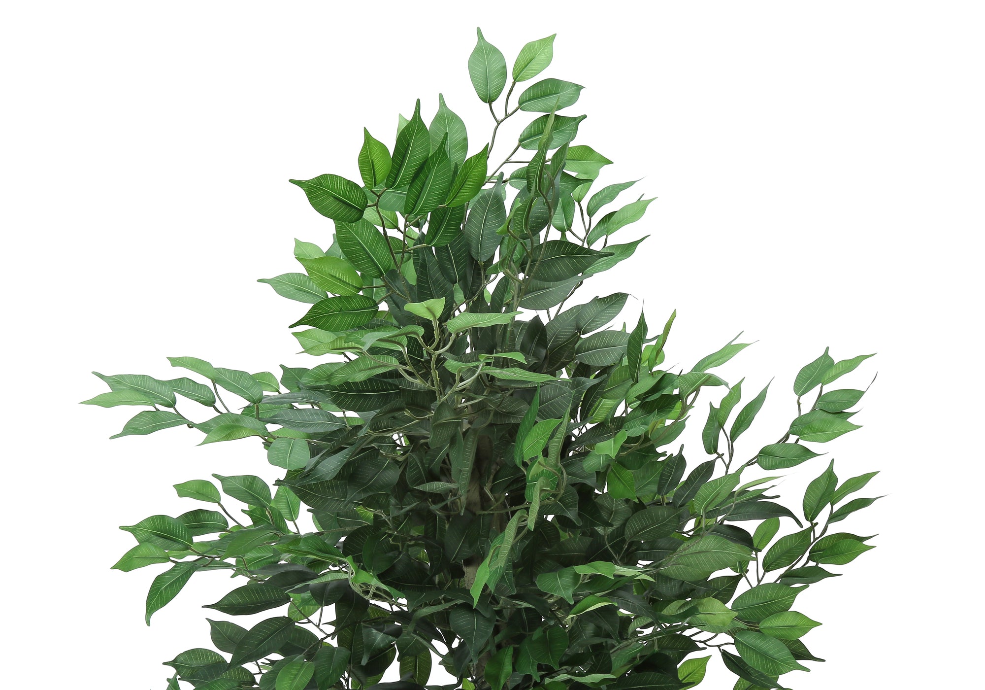 PLANTE ARTIFICIELLE - 58"H / FICUS INTERIEUR POT 6"