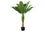 PLANTE ARTIFICIELLE - 43"H / BANANIER INTERIEUR POT 5"