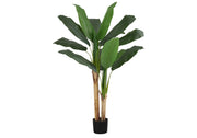 PLANTE ARTIFICIELLE - 55"H / BANANIER INTERIEUR POT 6"
