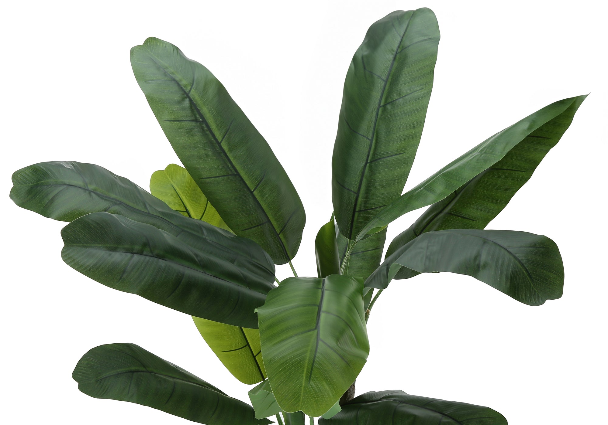 PLANTE ARTIFICIELLE - 55"H / BANANIER INTERIEUR POT 6"