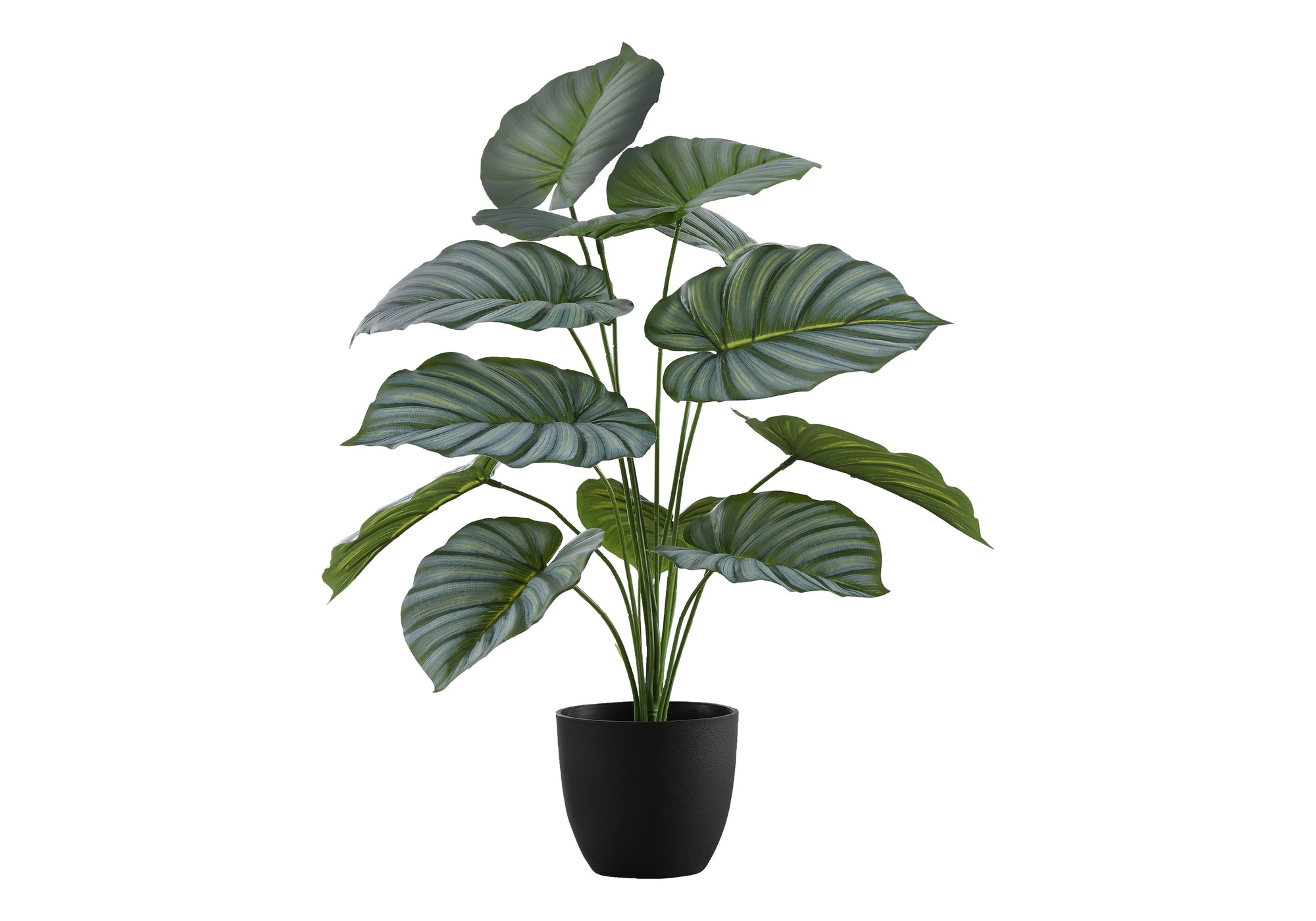 PLANTE ARTIFICIELLE - 24"H / POT INTÉRIEUR CALATHEA 5"