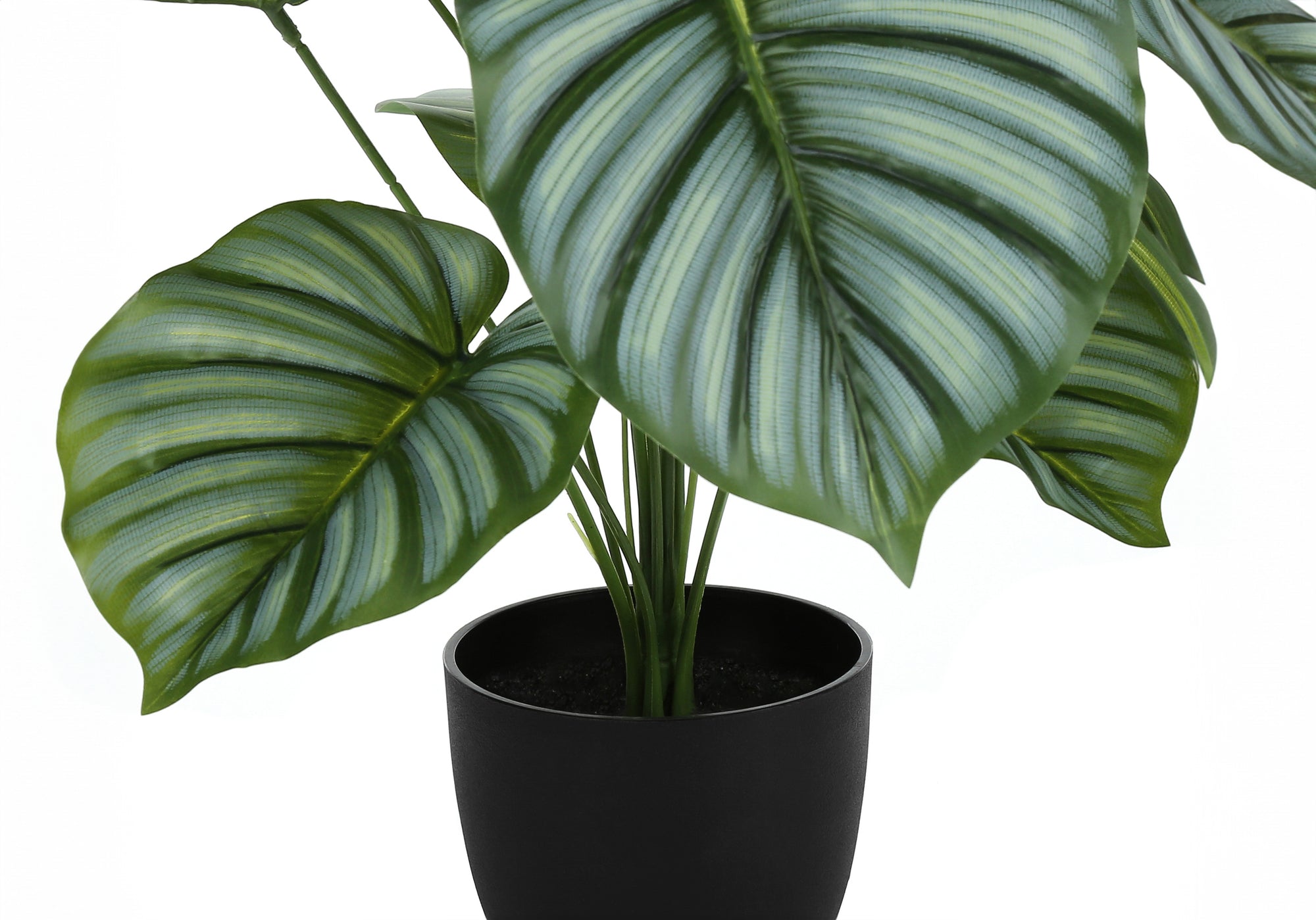 PLANTE ARTIFICIELLE - 24"H / CALATHEA INTERIEUR POT 5"