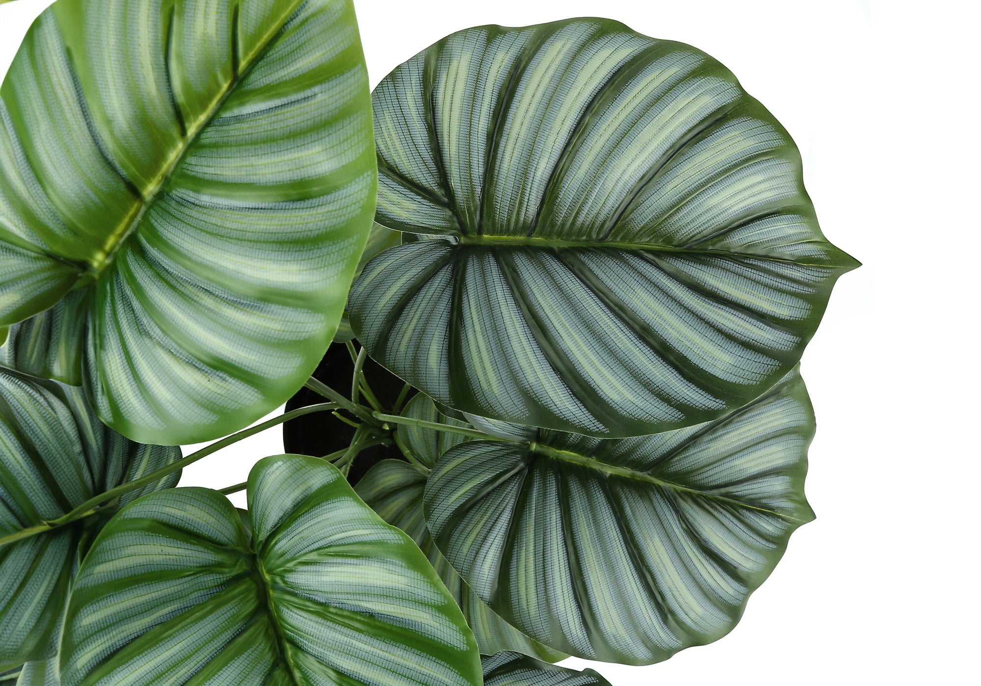 PLANTE ARTIFICIELLE - 24"H / CALATHEA INTERIEUR POT 5"