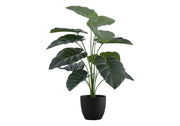 PLANTE ARTIFICIELLE - 24" H / ALOCASIA INTERIEUR POT 5"