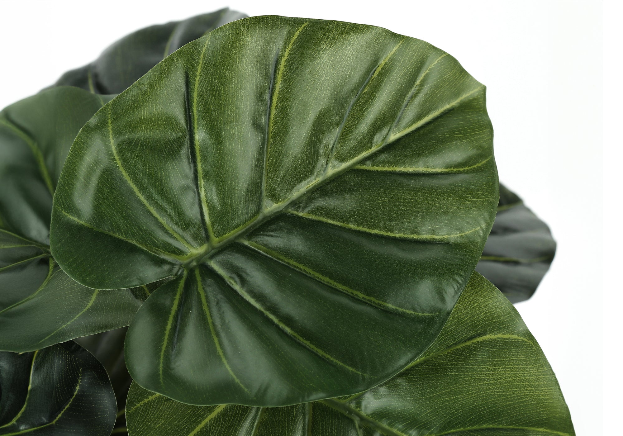 PLANTE ARTIFICIELLE - 24" H / ALOCASIA INTERIEUR POT 5"
