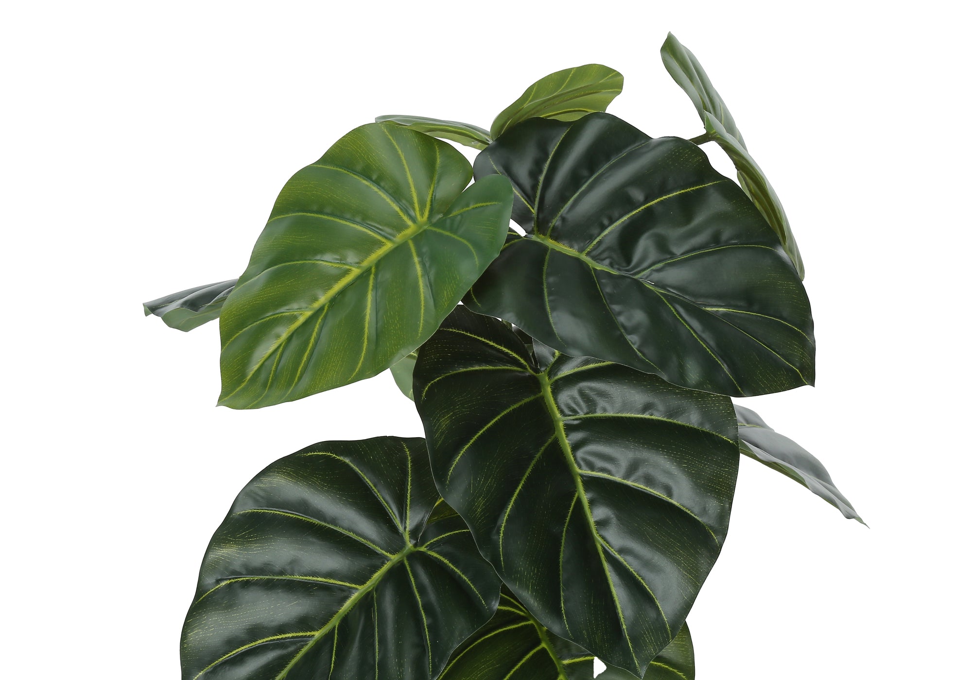 PLANTE ARTIFICIELLE - 24" H / ALOCASIA INTERIEUR POT 5"