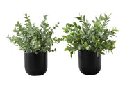 PLANTE ARTIFICIELLE - 2MCX / 11"H EUCALYPTUS/GAZON POT 5"