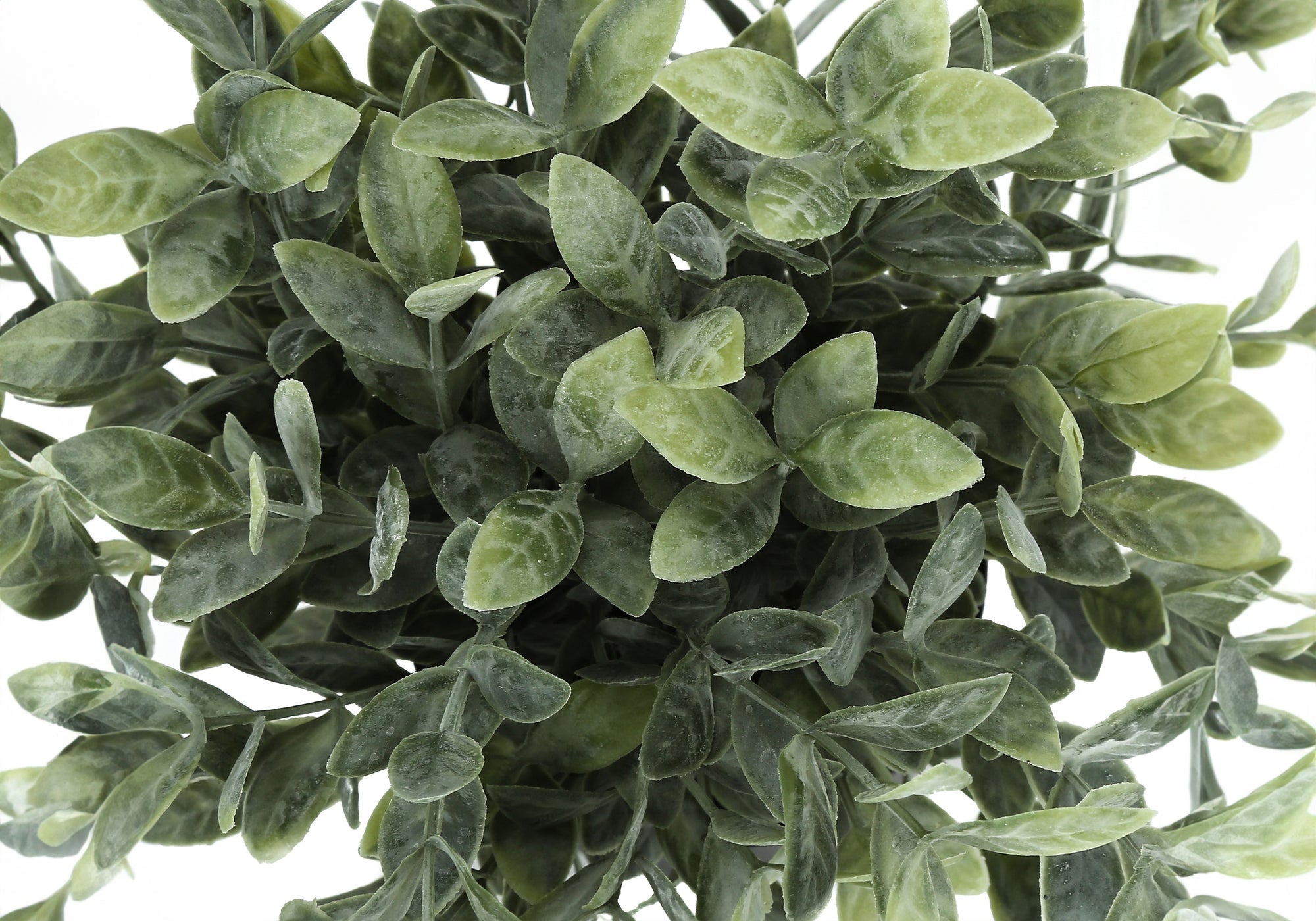 PLANTE ARTIFICIELLE - 2MCX / 11"H EUCALYPTUS/GAZON POT 5"