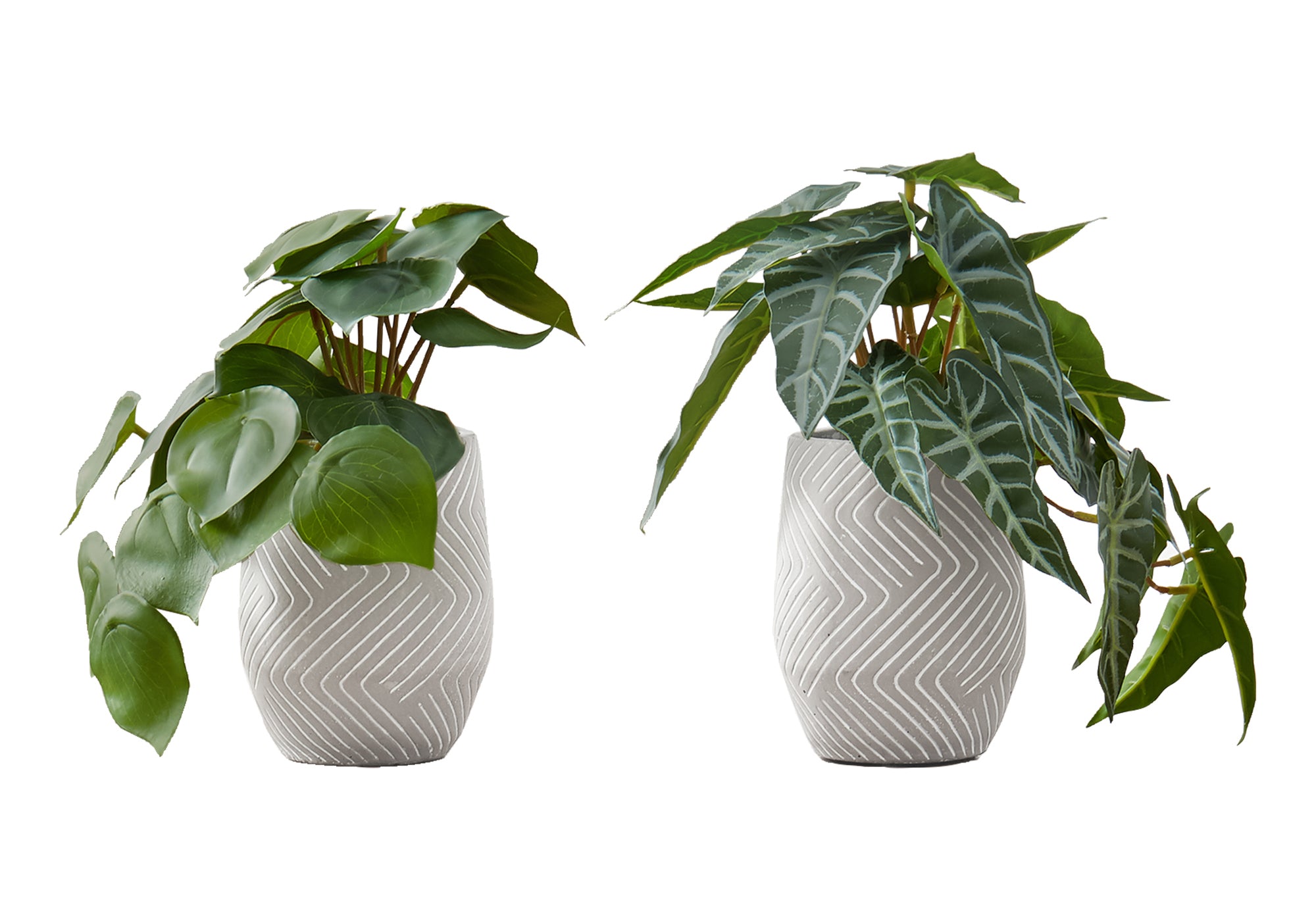 PLANTE ARTIFICIELLE - 2PCS / 8"H ALOCASIA / POT 5" CIMENT