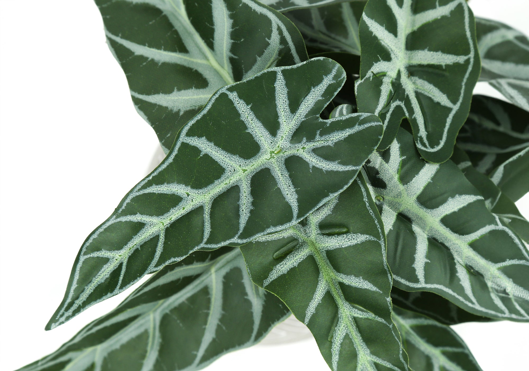 PLANTE ARTIFICIELLE - 2PCS / 8"H ALOCASIA / 5" POT CIMENT
