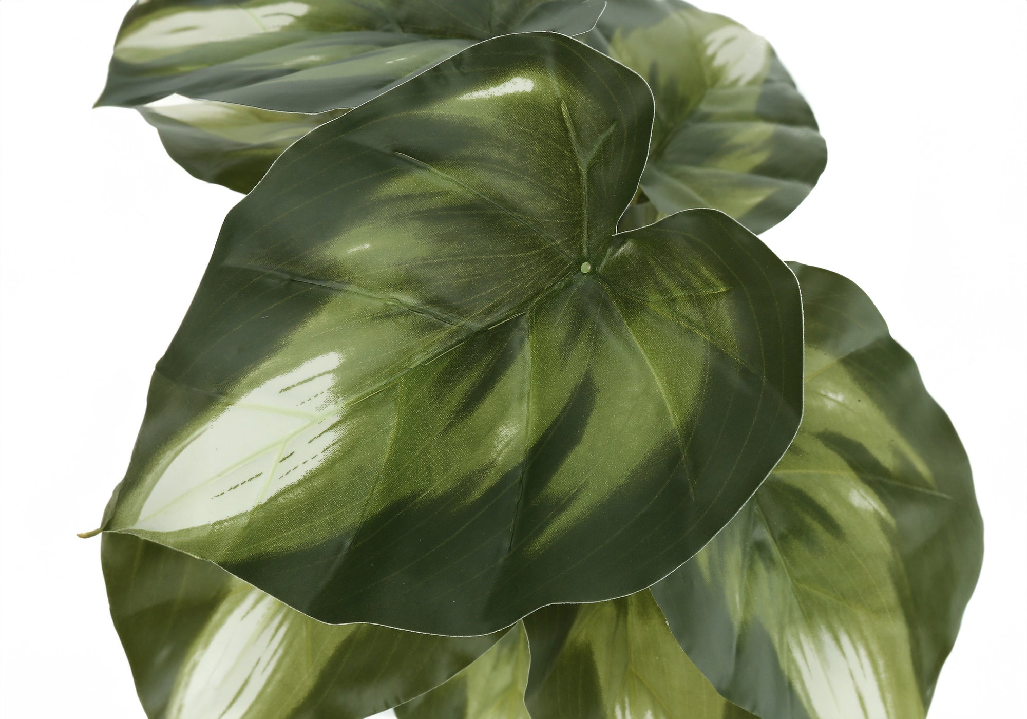 PLANTE ARTIFICIELLE - 2PCS / 13"H MONSTERA/CALATHEA/ 4" POT