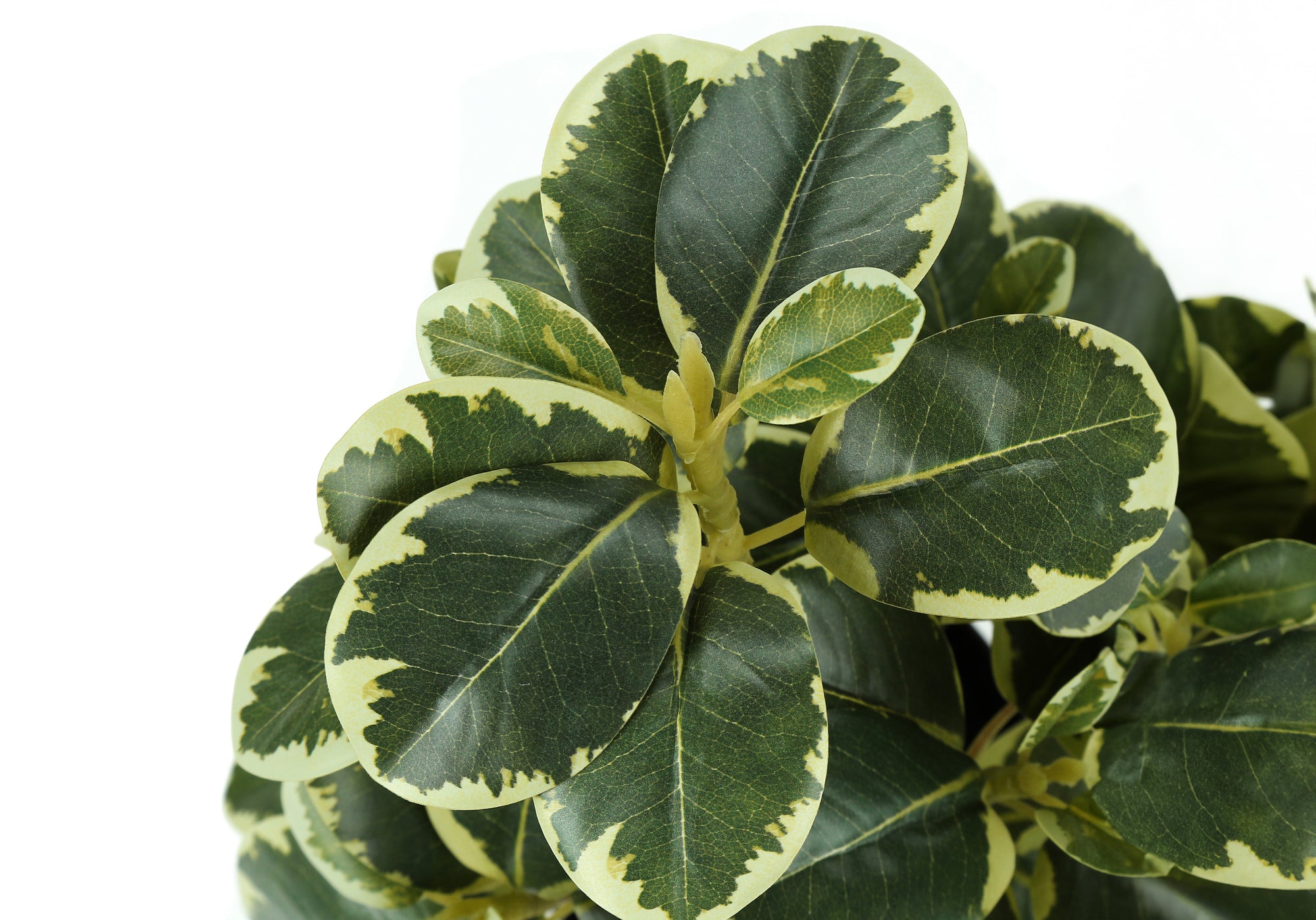 PLANTE ARTIFICIELLE - 2PCS / 14"H FICUS ELASTICA EN 4" POT