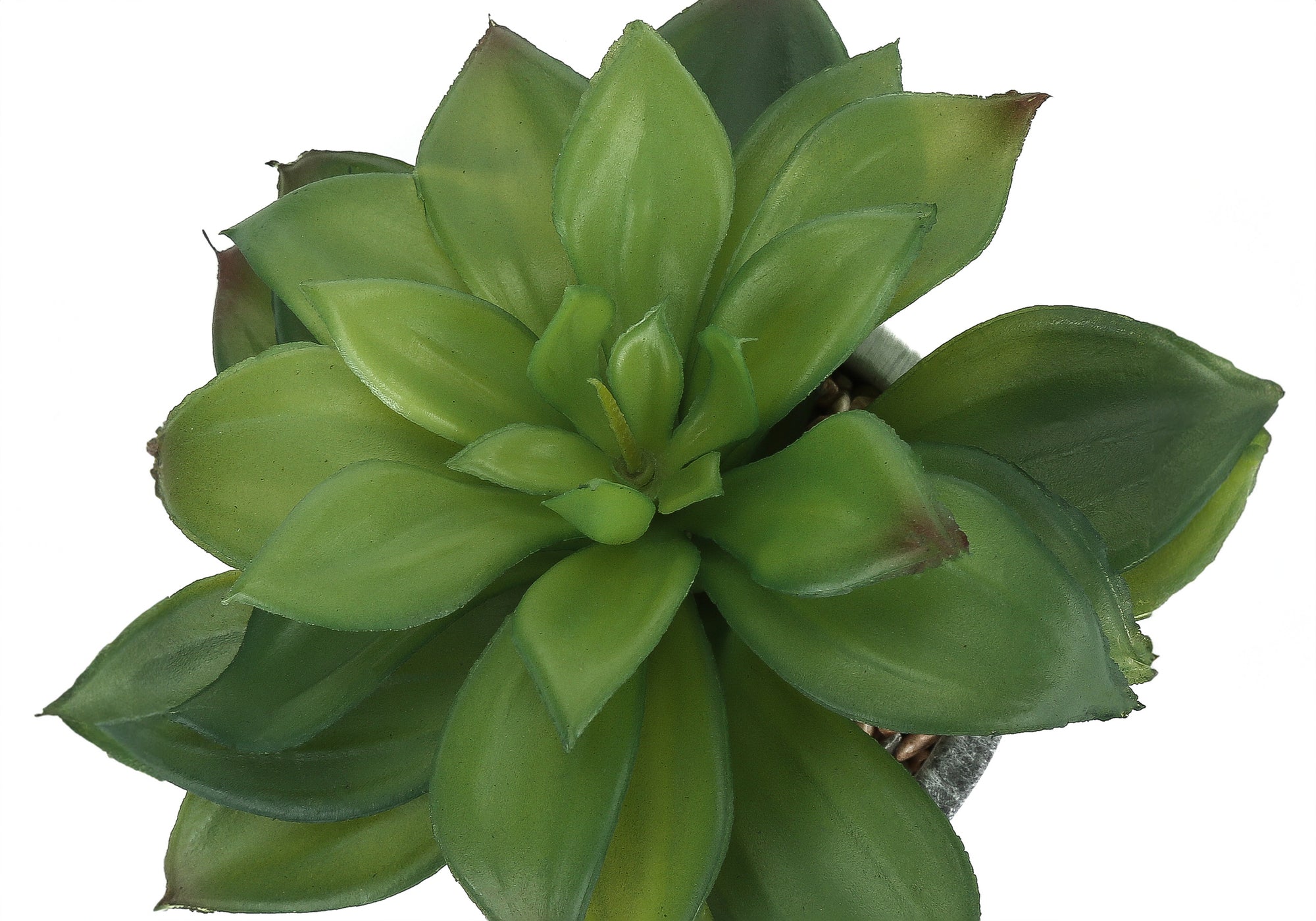PLANTE ARTIFICIELLE - 2PCS / 7"H SUCCULENTE EN 4" POT CIMENT