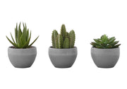 PLANTE ARTIFICIELLE - 3MCX / 6"H SUCCULENTE POT GRIS 3"