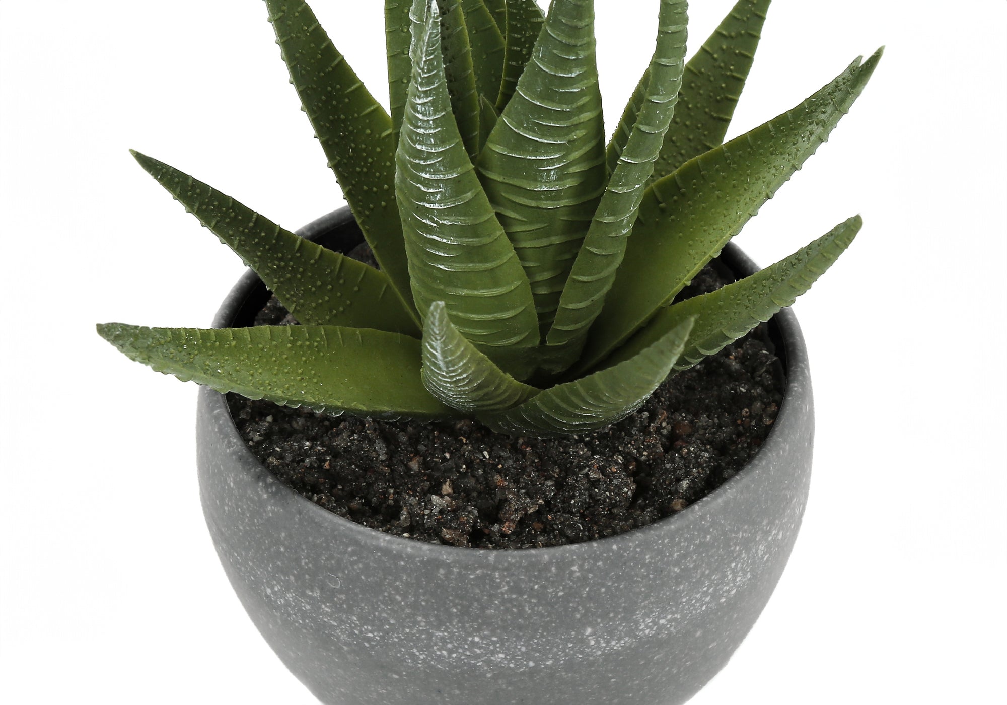 PLANTE ARTIFICIELLE - 3MCX / 6"H SUCCULENTE POT GRIS 3"