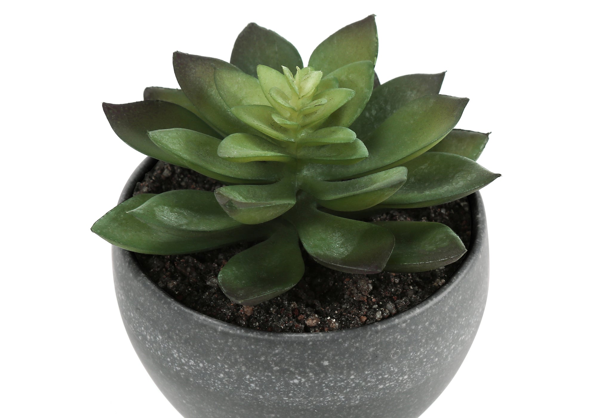 PLANTE ARTIFICIELLE - 3MCX / 6"H SUCCULENTE POT GRIS 3"