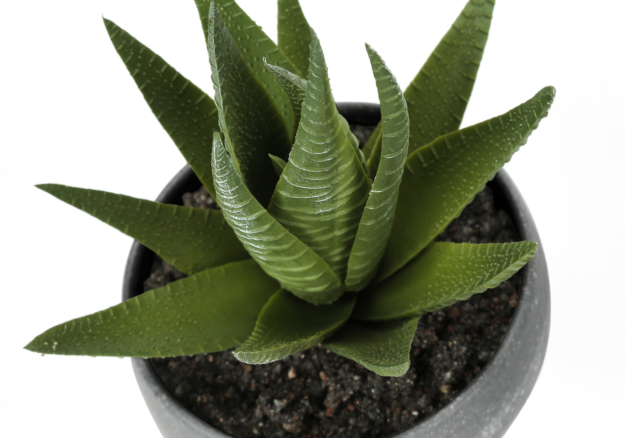 PLANTE ARTIFICIELLE - 3MCX / 6"H SUCCULENTE POT GRIS 3"