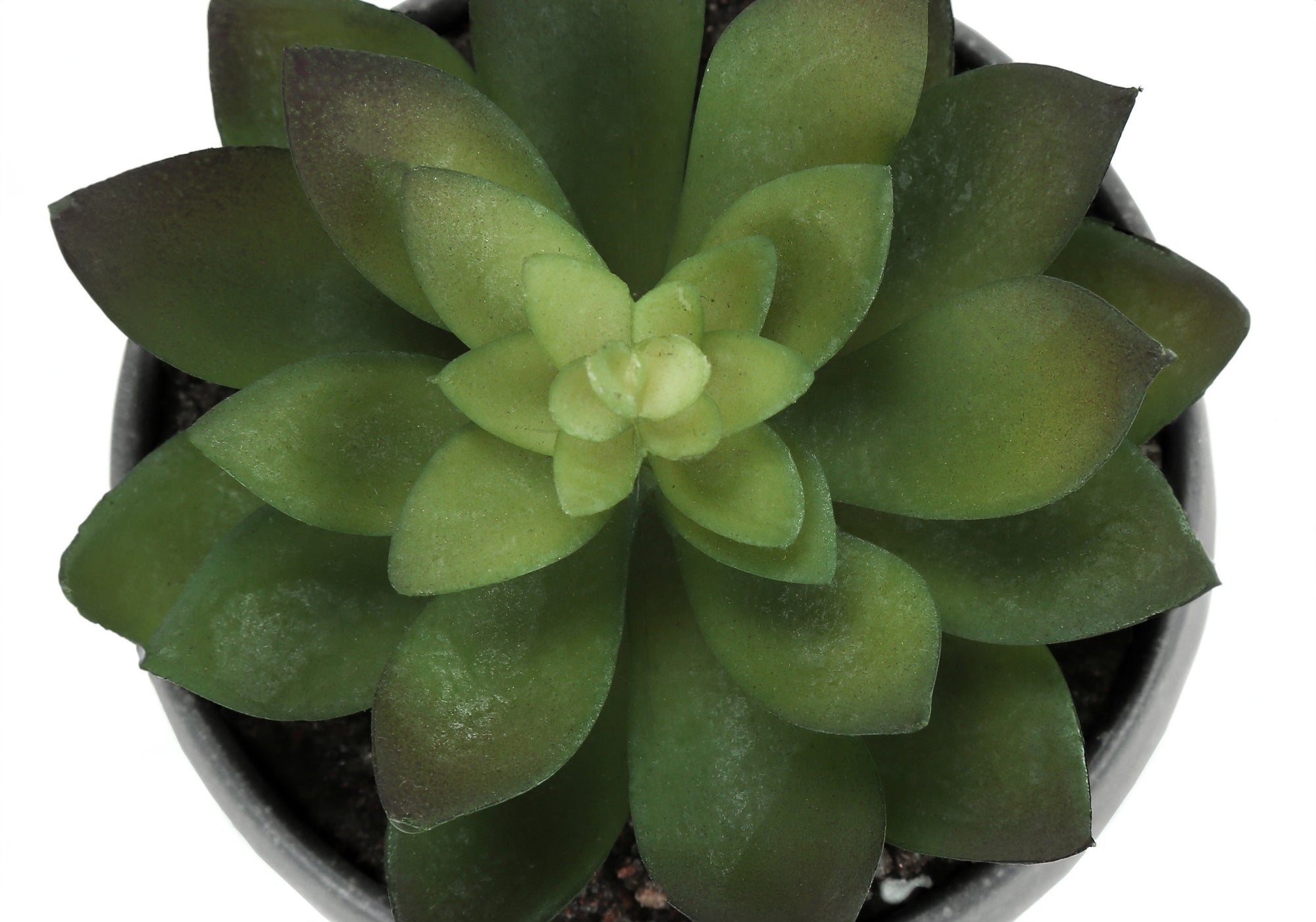 PLANTE ARTIFICIELLE - 3MCX / 6"H SUCCULENTE POT GRIS 3"