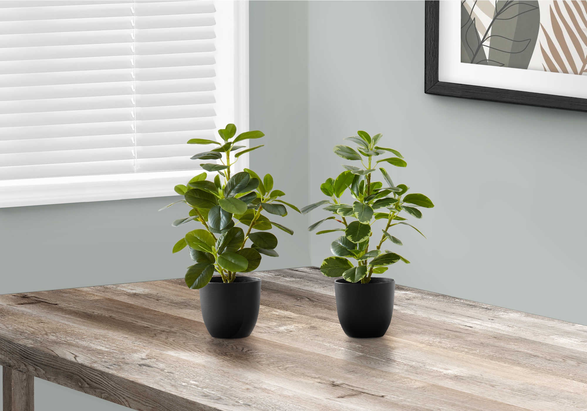 PLANTE ARTIFICIELLE - 2PCS / 14"H FICUS ELASTICA ET POT 4"