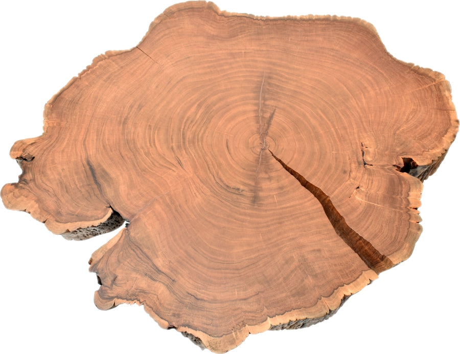 Table basse des bois