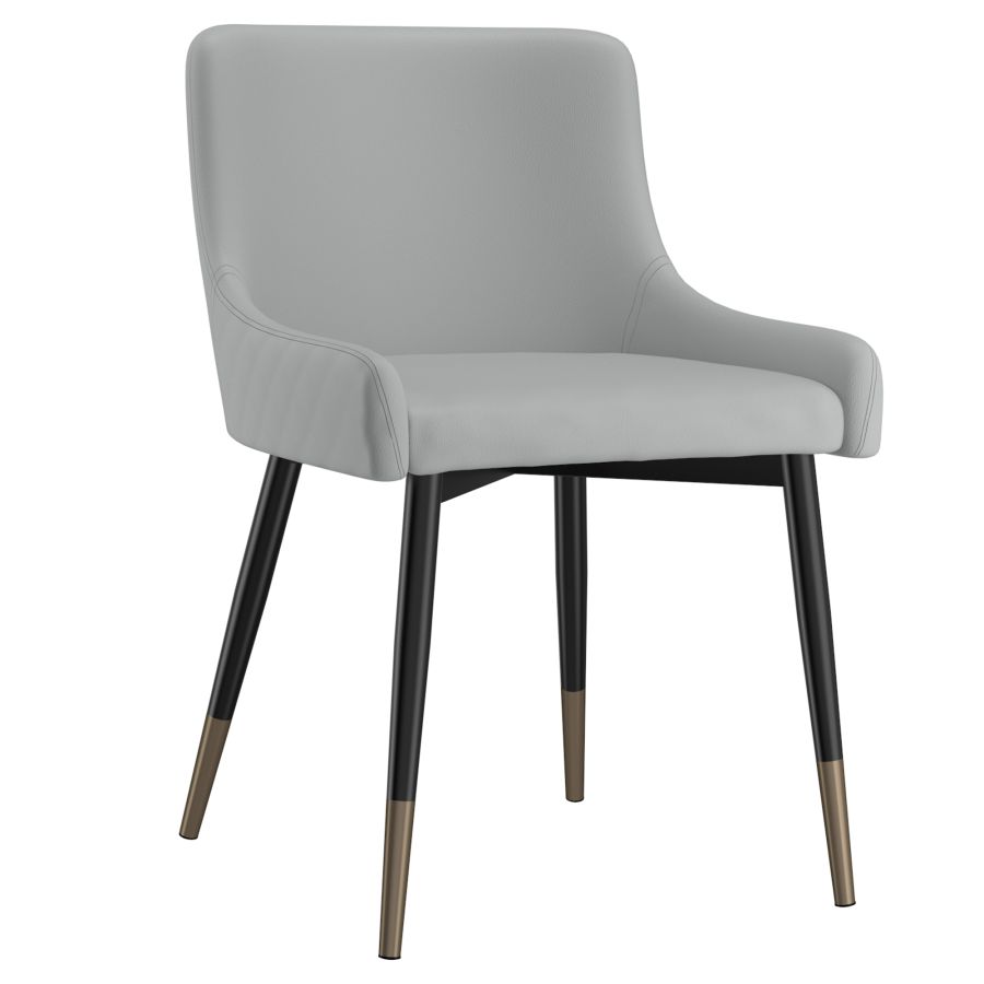 Chaise d'appoint Xander, ensemble de 2, en gris clair