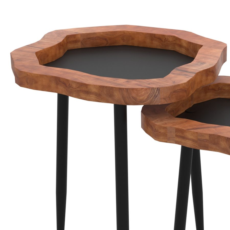 Ensemble de table d'appoint 2 pièces Disha en noir