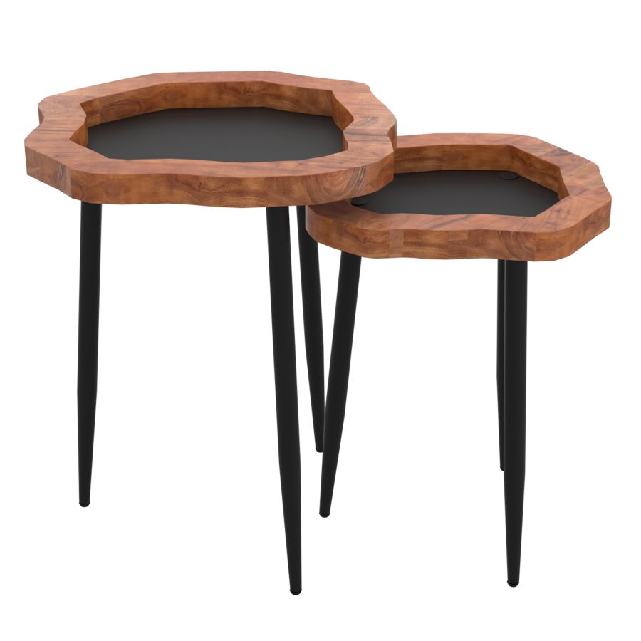 Ensemble de table d'appoint 2 pièces Disha en noir